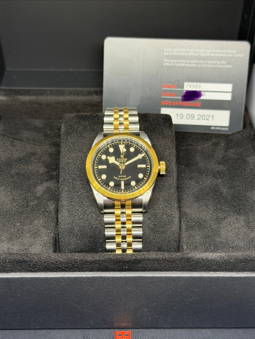 Tudor Black Bay One S&G