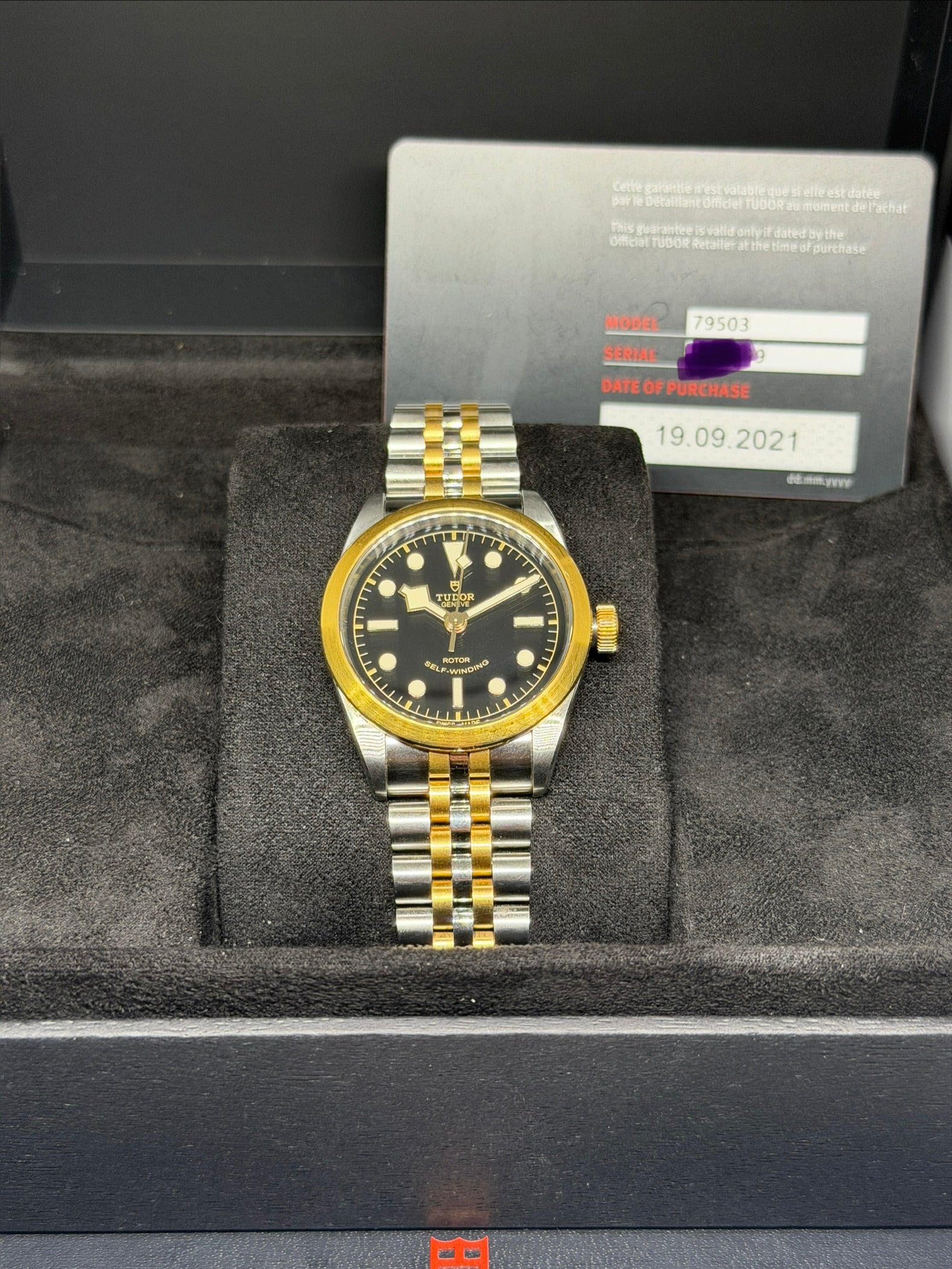 Tudor Black Bay One S&G
